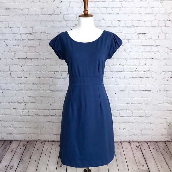 Banana Republic Dresses & Skirts - Banana Republic Blue Sheath Dress